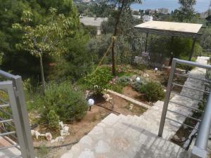 Stone House in olive grove Argolida Greece