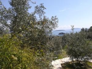 Stone House in olive grove Argolida Greece