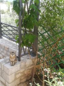 Stone House in olive grove Argolida Greece