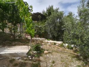 Stone House in olive grove Argolida Greece