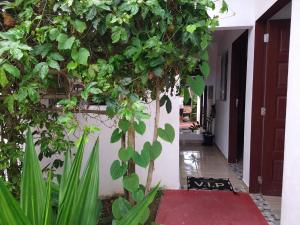 Suíte 6 com piscina e wi-fi em Caraguatatuba