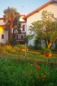 Maisons d'hotes Maison Elizondoa : photos des chambres