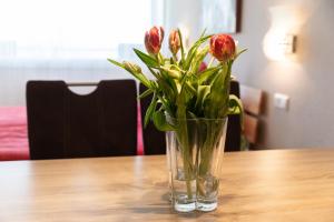 Apartment "Köhler" mit Berg- und Bodenseesicht