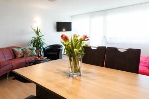 Apartment "Köhler" mit Berg- und Bodenseesicht