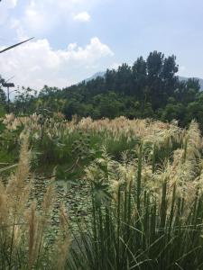 7Days Premium Xichang Torch Plaza Qionghai Wetland Park Branch