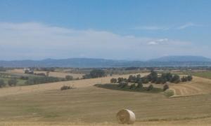 Agritur Villa Osvaldo Castiglione del Lago Perugia Piscina acqua salata possibilità colazione
