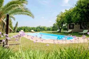Bright apartment in Castelbellino - 75 m² - Shared Pool - Moie