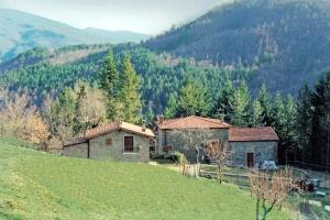 obrázek - One bedroom house with shared pool furnished garden and wifi at Bibbiena