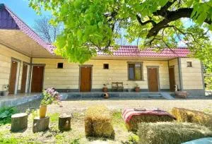 Aghasu Tun B&B - Dszeh