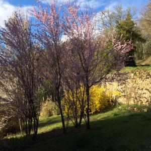 Sejours chez l'habitant La Maison Carree - Villa de charme - Clim & Piscine chauffee : photos des chambres