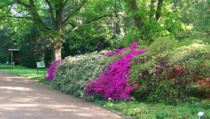 Congress Hotel am Stadtpark