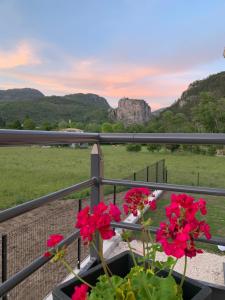 Maisons d'hotes Le long du Verdon : photos des chambres