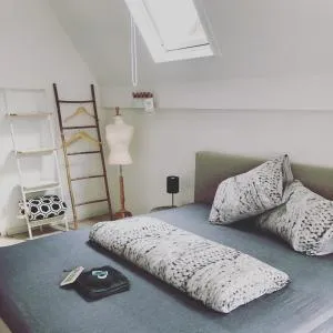 LUXE TOPLOCATIE! Monument hartje centrum Dordrecht, 2 badkamers, 2 keukens, tuintje (10 personen) - 帕彭德雷赫特