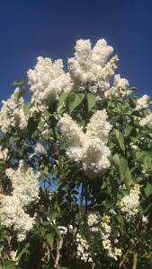 Haus Oberkirchen Nähe Winterberg bis 20 P