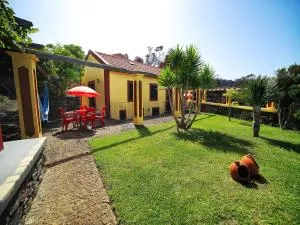 Charming Studio with Sea View - Ponta do Pargo - 20 m² - Ponta do Pargo