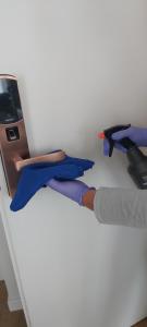 Central Apartments Rajska