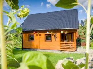 Domek Makowy - Wisła