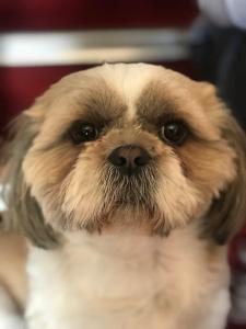 Les Belles Terrasses