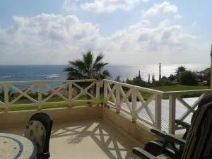 Happy Holiday - Coral Bay