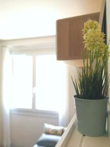 Le Petit Studio - 15 m2 - Centre Ville - Sorgue à 50 m