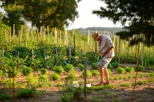 Hôtel de Charme Bello Visto