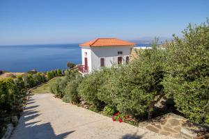 Eleni's Guesthouse Andros Greece