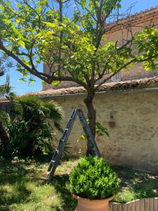 Maisons d'hotes Domaine La Condamine CRILLON LE BRAVE : photos des chambres