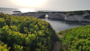 L'AGRUMETO SEGRETO img31