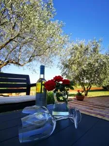 Apartment Ulika - Marčana