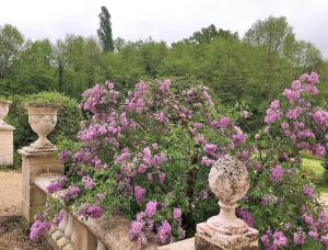 B&B / Chambres d'hotes Chateau de Moison, Domaine Eco Nature : Chambre Double ou Lits Jumeaux Supérieure - Vue sur Jardin