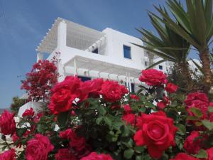 Nicos Studios & Apartments Paros Greece