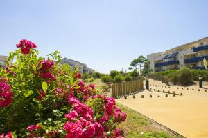 Appart'hotels Residence Pierre & Vacances Bleu Marine : photos des chambres