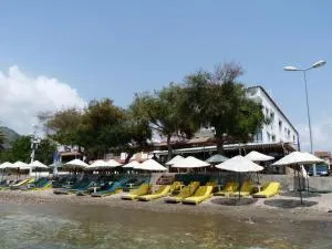 Villa Hotel - 奥兹德雷