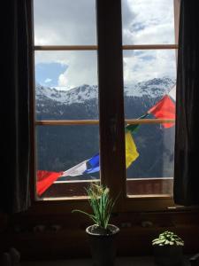 Petit Appart de Charme Eau chaude solaire Rénovation 2021 Wifi disponible Belvedere 5