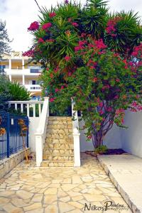 Villa Dolphins Poros-Island Greece