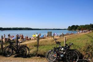 Maisons de vacances Maison 4 personnes en bord de mer - Golfe du Morbihan : Maison 2 Chambres