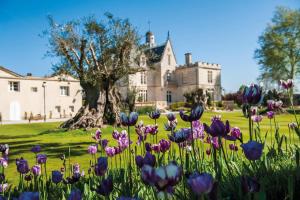 B&B / Chambres d'hotes Chateau Pape Clement : photos des chambres