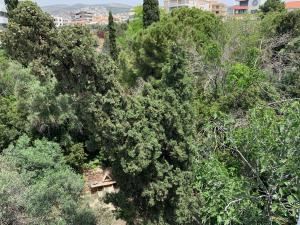 OASIS Exclusive Apartment @ Athenian Riviera