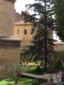 Appartements ART'APPART : photos des chambres