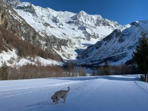 Hotels Hotel Arolla : photos des chambres