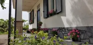 Etna, salvia e rosmarino - Bronte