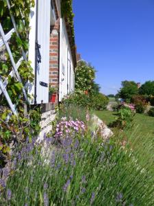 Maisons d'hotes chambres d'hotes les Muscaris : photos des chambres