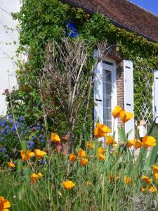 chambres dhôtes les Muscaris