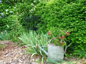 chambres dhôtes les Muscaris