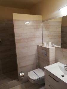 Double Room room in Hotel Venecia Palace