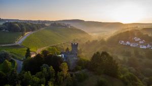 Saar Castle - cozy Mansion near vineyard