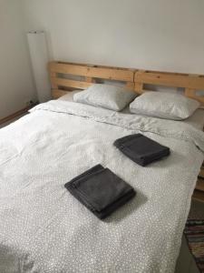 Piebalgas street apartment in Cesis