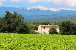 La Bastide de l'Olivier