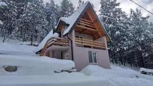 Vila Daniela - Jevtići