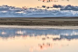 Updated Townhouse with Pergola, Walk to Downtown!